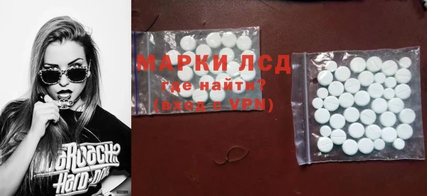 гашик Алексин