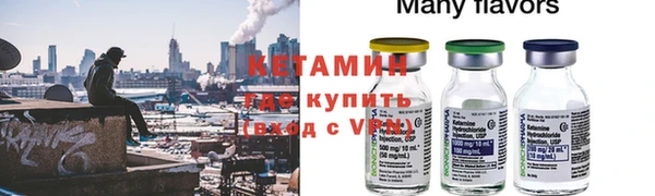 гашик Алексин