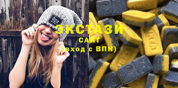 гашик Алексин