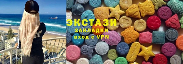 гашик Алексин