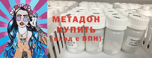 гашик Алексин