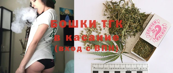 гашик Алексин